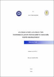 Küçük Resim