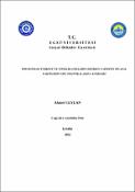 Küçük Resim