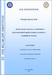Küçük Resim