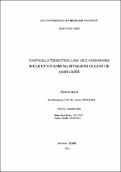 Küçük Resim