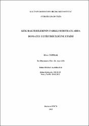 Küçük Resim