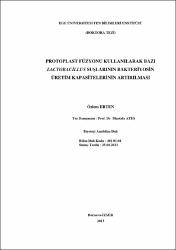 Küçük Resim