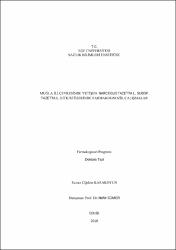Küçük Resim