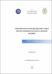 Küçük Resim