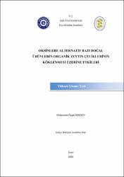 Küçük Resim