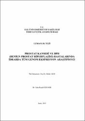 Küçük Resim