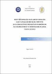Küçük Resim