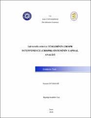 Küçük Resim