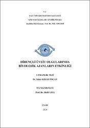 Küçük Resim