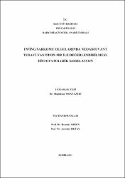 Küçük Resim