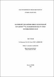 Küçük Resim