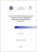 Küçük Resim