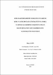 Küçük Resim