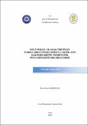 Küçük Resim