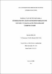 Küçük Resim