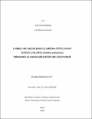 Küçük Resim