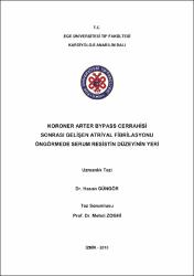 Küçük Resim