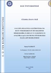 Küçük Resim