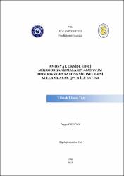 Küçük Resim