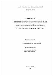 Küçük Resim
