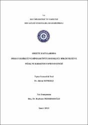 Küçük Resim