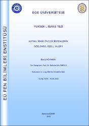 Küçük Resim
