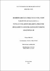 Küçük Resim