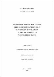 Küçük Resim