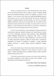 Küçük Resim