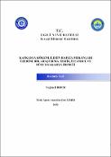 Küçük Resim