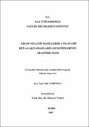 Küçük Resim