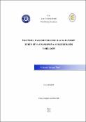 Küçük Resim