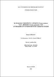 Küçük Resim