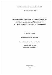 Küçük Resim