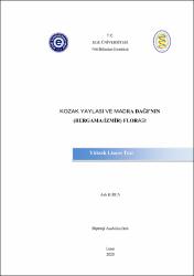 Küçük Resim