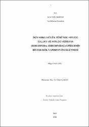 Küçük Resim