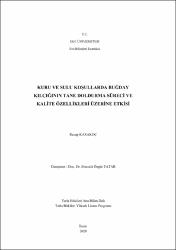 Küçük Resim