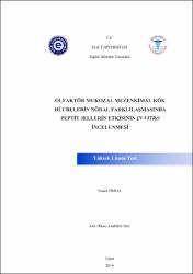 Küçük Resim