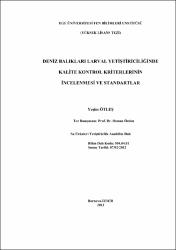 Küçük Resim