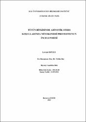 Küçük Resim