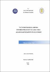 Küçük Resim