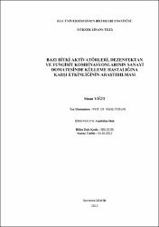 Küçük Resim