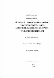 Küçük Resim