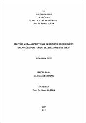 Küçük Resim