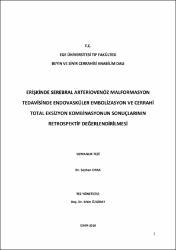 Küçük Resim