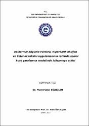 Küçük Resim