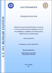 Küçük Resim