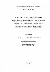 Küçük Resim