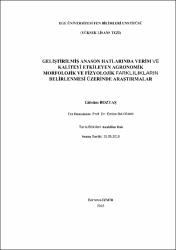 Küçük Resim