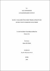 Küçük Resim